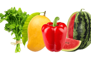 Vegetables & Fruits